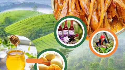 Hành trình nông sản – Món quà từ đất và người Việt Nam