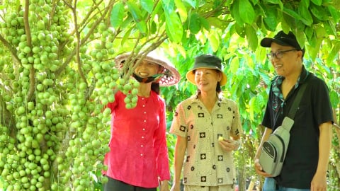 Check-in Sa Đéc dịp lễ: Đắm chìm trong thiên đường hoa và trải nghiệm dân dã