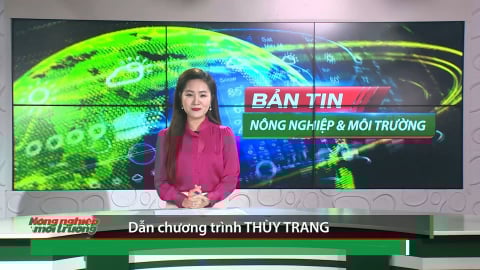 Bản tin NN&MT số 18/2025 (số 405)