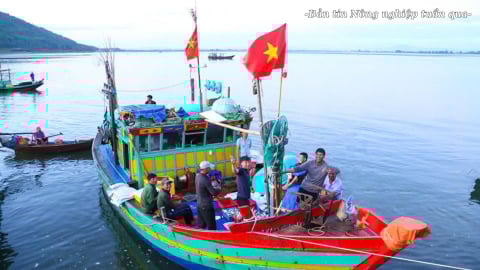 Giai đoạn nước rút chống khai thác IUU