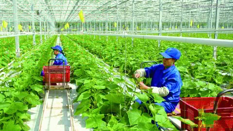 ‘Đại hội khoa học công nghệ đầu tiên’ của Bộ Nông nghiệp và Môi trường