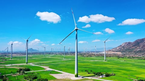 Đầu tư xanh từ khu vực tư nhân Việt Nam đạt 161 triệu USD năm 2024