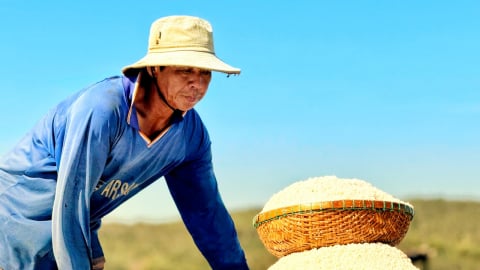 Nhọc nhằn nghề muối Sa Huỳnh