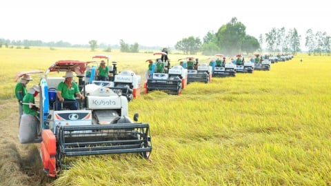 Five pillar solutions in science and technology for agriculture and environment