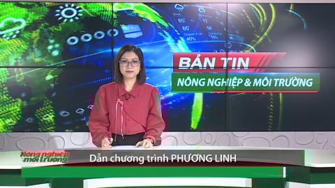 Bản tin Truyền hình NN&MT số 19/2025 (số 406)