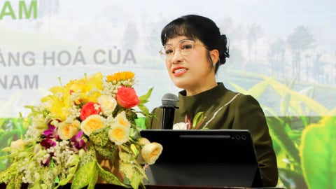 Phát triển thị trường carbon: Khởi đầu từ hành lang pháp lý