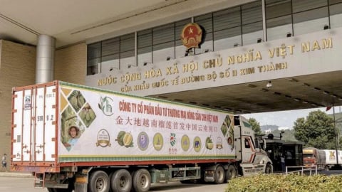 Vietnam - China expand border gates, accelerate the export of potential agricultural products