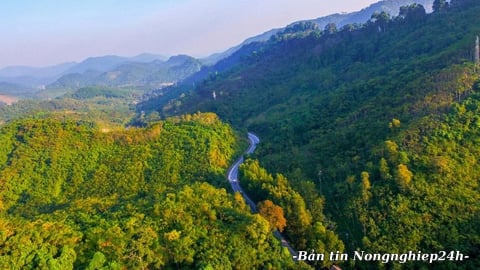 Nông nghiệp và Môi trường đạt mức tăng trưởng cao nhất trong nhiều năm