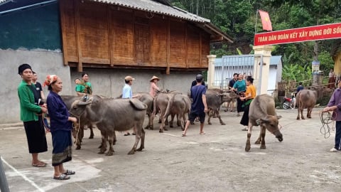 Xã biên giới làm tốt phong trào Vì người nghèo
