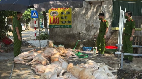 Hơn 1 tấn thịt lợn không rõ nguồn gốc, đảm bảo vệ sinh thú y