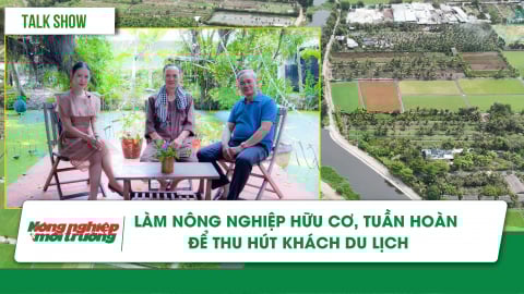 Làm nông nghiệp hữu cơ, tuần hoàn để thu hút khách du lịch