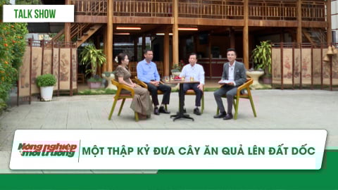 Một thập kỷ đưa cây ăn quả lên đất dốc, nông nghiệp Sơn La đổi thay ngoạn mục