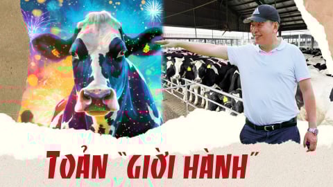 Toản 'giời hành'
