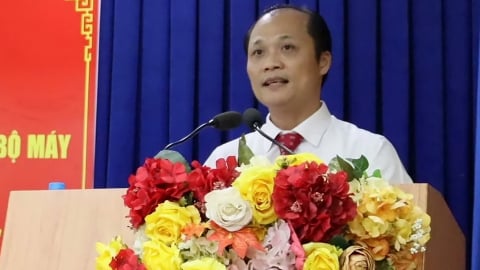 Đồng Nai thành lập Tổ công tác đặc biệt hỗ trợ đấu giá đất