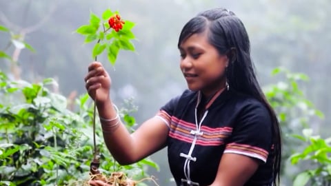 Quảng Nam sẽ trở thành trung tâm công nghiệp dược liệu