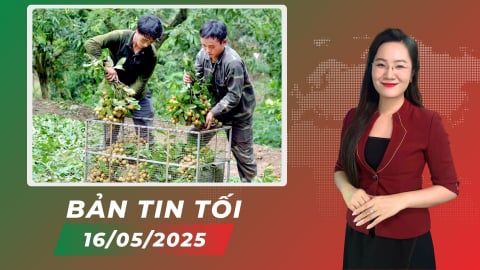 Diện tích cây ăn quả tại Sơn La tăng 219% sau 10 năm