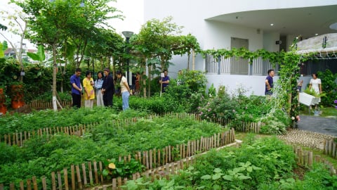 Giáo dục dinh dưỡng học đường từ tiếp cận vườn trường sinh thái