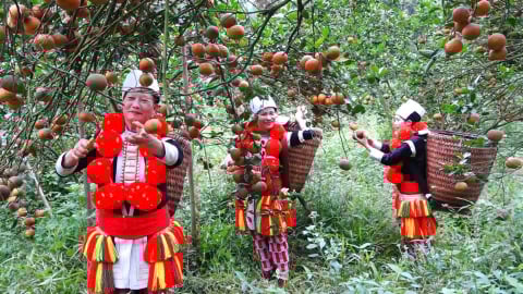 Chương trình 1719 - lan tỏa sinh kế bền vững
