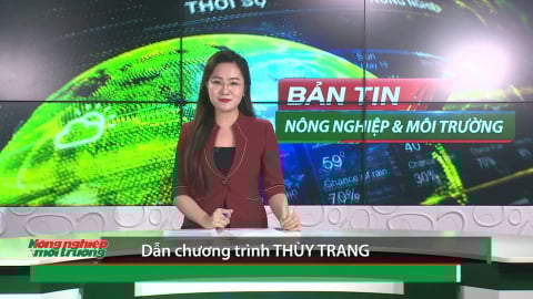 Bản tin Truyền hình NN&MT số 20/2025 (Số 407)