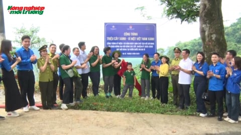 'Triệu cây xanh - Vì một Việt Nam xanh' tại Vườn quốc gia Ba Vì