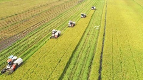 'Vietnam is on the right track toward sustainable, low-emission development'