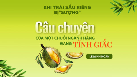 Câu chuyện của một chuỗi ngành hàng đang tỉnh giấc