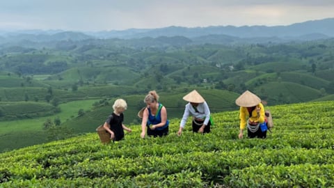 Đầu tư cho du lịch nông nghiệp, khai phá sức hút làng quê