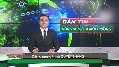 Bản tin Truyền hình NN&MT số 21/2025 (số 408)