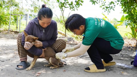 Sinh viên tham gia phòng chống bệnh dại nơi vùng biên