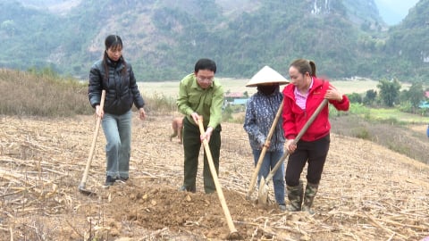 Tuần Giáo: Mô hình đổi công hiệu quả kinh tế tập thể