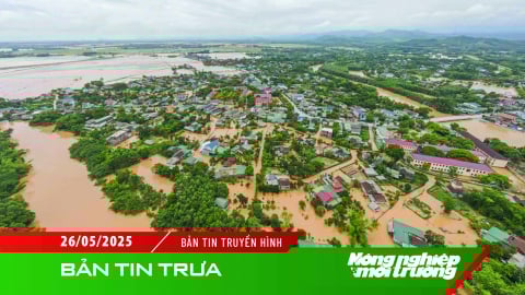Lũ sớm gây thiệt hại nặng nề tại Hà Tĩnh