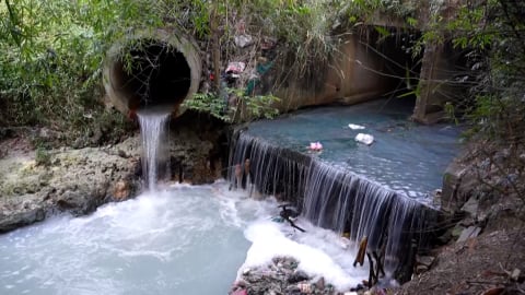 Vì sao nước sông Vàm Cỏ Đông màu đen, mùi hôi bất thường