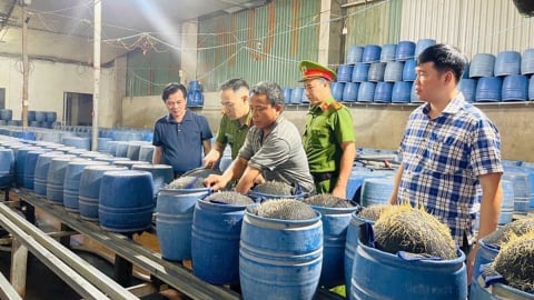 Phát hiện hai cơ sở dùng hóa chất độc hại sản xuất giá đỗ