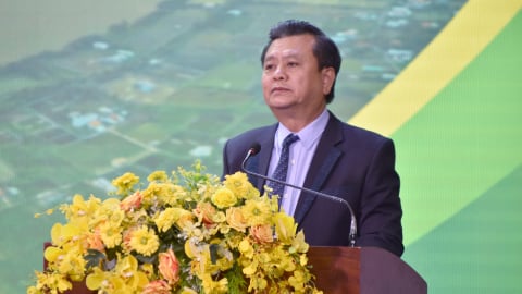 Khai mạc giải Vô địch Thể hình các Câu lạc bộ toàn quốc lần thứ 32
