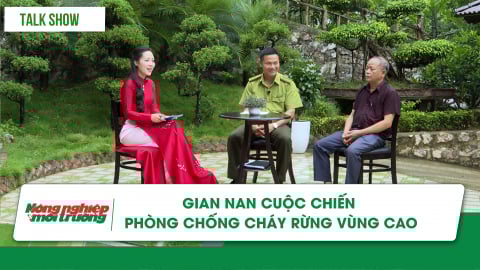 Gian nan cuộc chiến phòng, chống cháy rừng vùng cao
