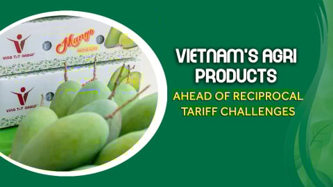 Expanding fruit and vegetable exports while awating a final decision
