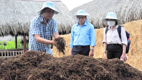 Nông dân Đồng Tháp học cách biến rơm rạ thành 'vàng nâu'