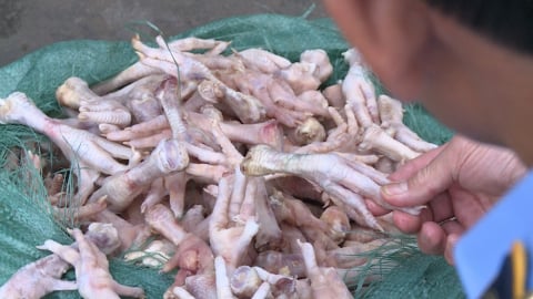 Bắt giữ và tiêu hủy 370kg chân gà đông lạnh