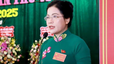Kỷ luật Thứ trưởng Bộ Giáo dục và Đào tạo Nguyễn Thị Kim Chi