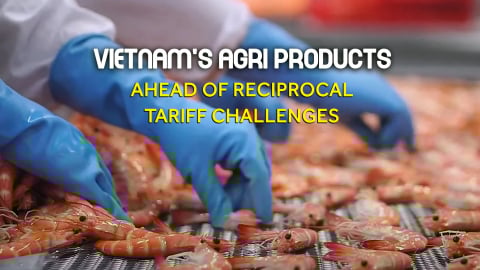 Shrimp exporters shift focus to other markets