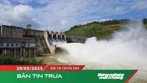 Cảnh báo ngập úng tại Bắc Bộ và Thanh Hóa