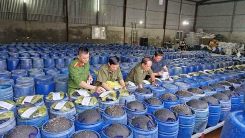Nghệ An mở cao điểm đấu tranh, ngăn chặn buôn lậu, hàng giả