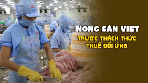 Xuất khẩu cá tra hướng tới các thị trường tiềm năng