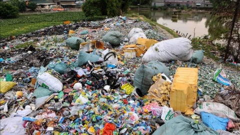 Chính sách mới về nông nghiệp và môi trường có hiệu lực ngay tháng 6/2025