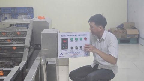 Thị xã Chũ đảm bảo 20 cơ sở đóng gói vải thiều
