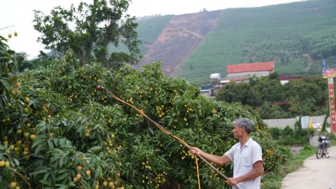 Tăng cường giám sát kỹ thuật vải