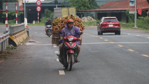 [Bài 5] Hạ tầng đồng bộ, đảm bảo “dòng chảy” thông suốt cho mùa vải thiều