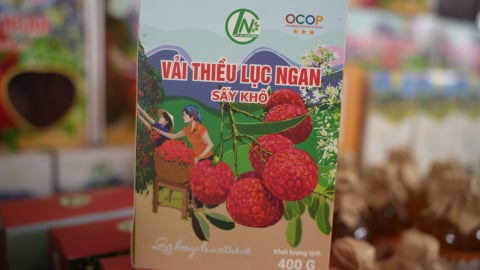 500 lò sấy sẵn sàng đón mùa vải