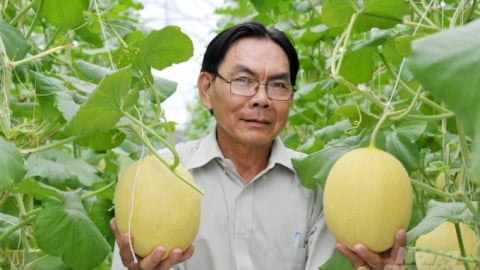Khuyến nông Hậu Giang hỗ trợ người dân phát triển nông nghiệp công nghệ cao