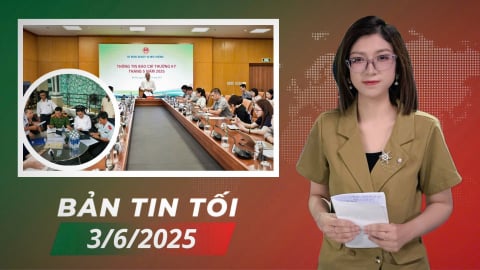 Làm rõ vụ việc Công ty C.P bị tố bán thịt heo bệnh